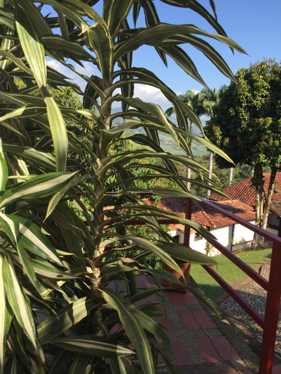 Hotel Casona Las Juanas San José de Pare Eksteriør billede