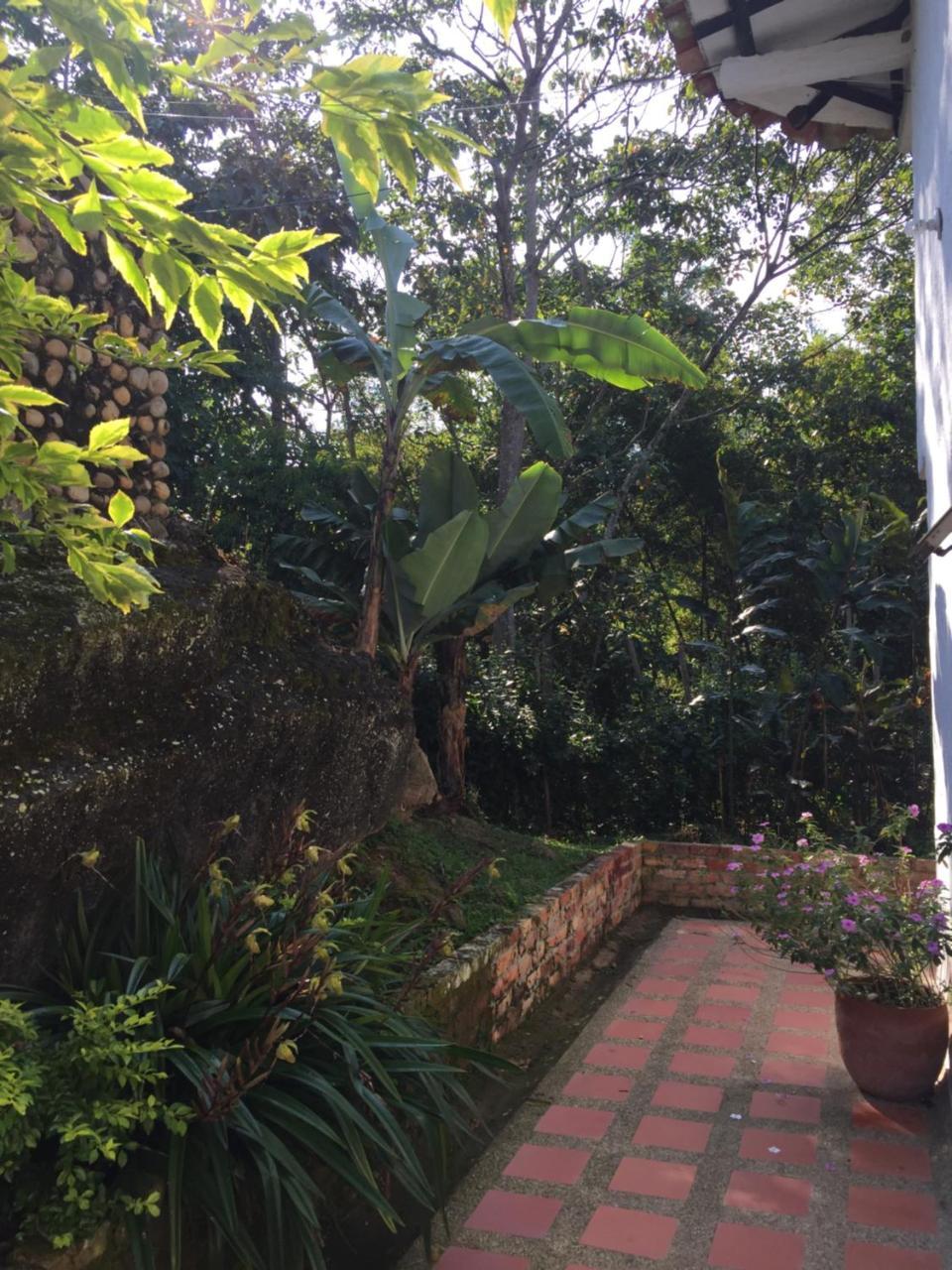 Hotel Casona Las Juanas San José de Pare Eksteriør billede