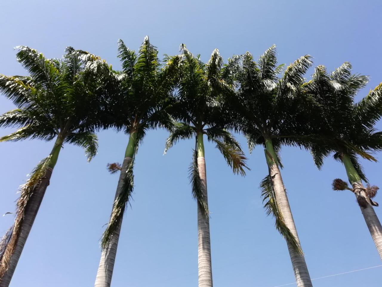 Hotel Casona Las Juanas San José de Pare Eksteriør billede